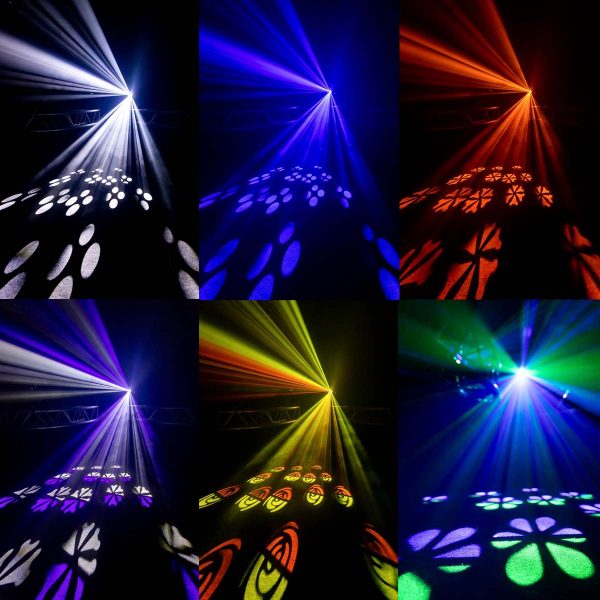 Chauvet Blazor - Image 16